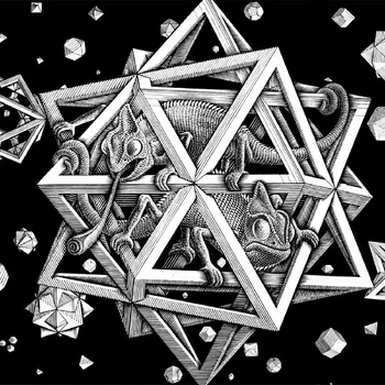 M. C. Escher Optinės iliuzijos meno kūrinius, geometrijos gyvūnų chameleonas plakatas 60x60 Spausdinti šilko Audinys menas, Sienų Dekoras 