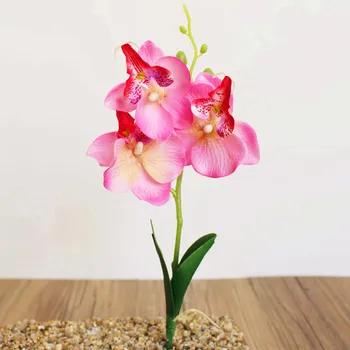 Modeliavimo Gėlės Išgalvotas Keturias Drugelių Orchidėja Mėsiškas Augalų Bonsai Gėlių Rengiasi Priedai Akcijų Dirbtinis & Džiovintos Gėlės 