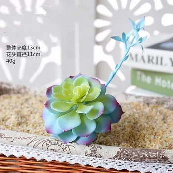 1pcs Dirbtinių Gėlių Mėlyna Succulents Kaktusas Bonsai Augalų Modeliavimo Sultingi Gėlės 